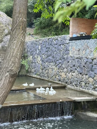 pic