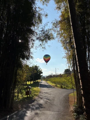 pic