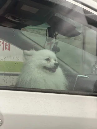 pic