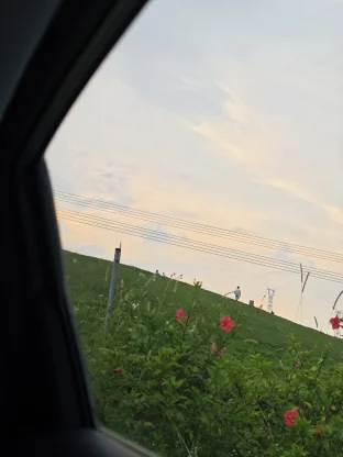 pic