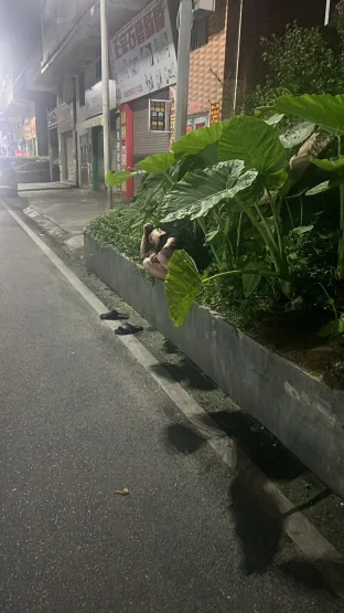pic