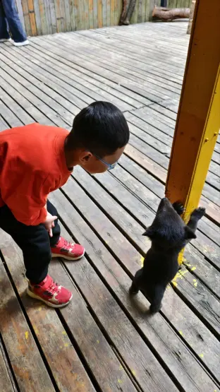 pic