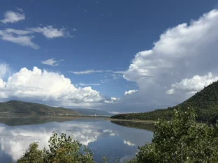 pic