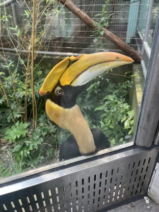 pic