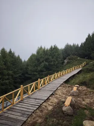 pic