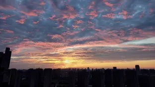 pic