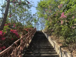 pic