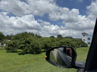 pic