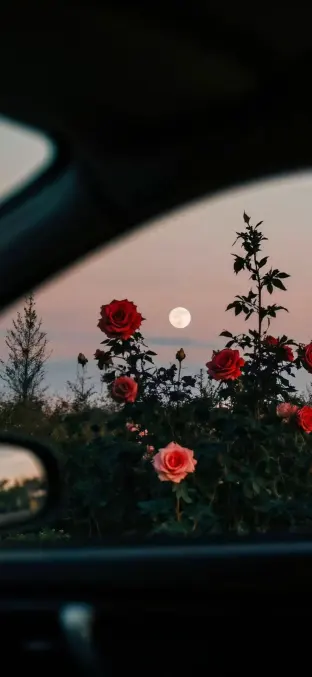 pic