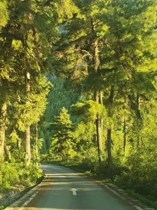 pic