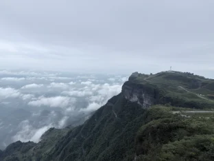 pic