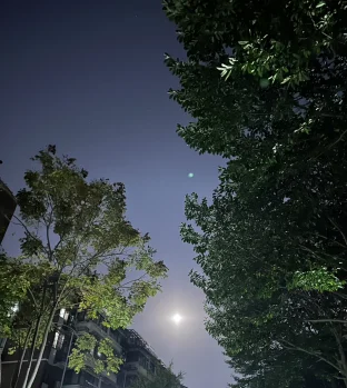pic