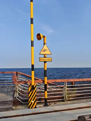pic