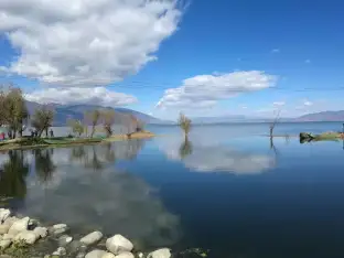 pic
