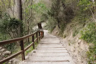 pic