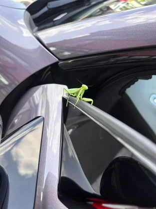 pic