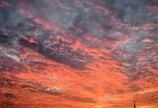 pic