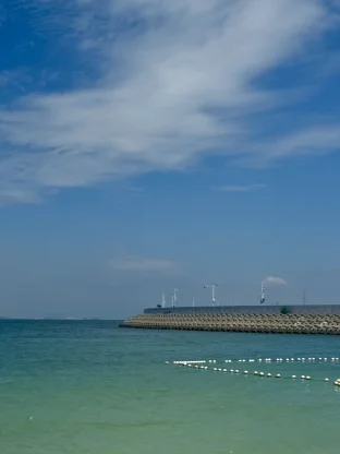pic