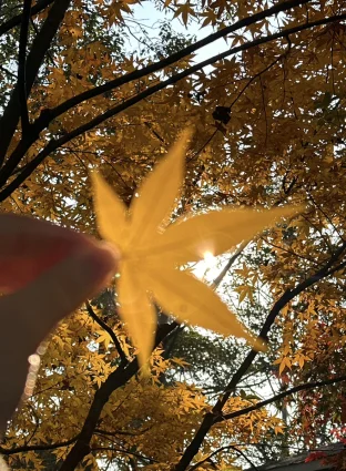 pic