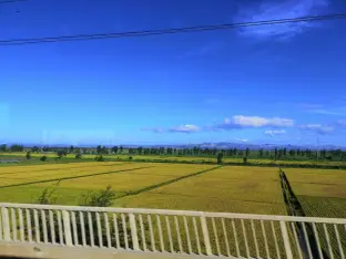 pic