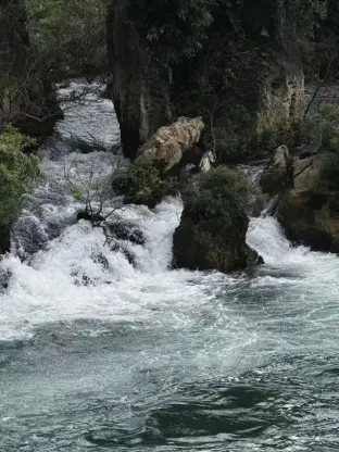 pic