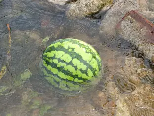 pic